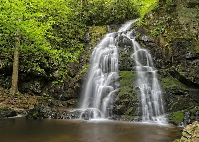 Hidden Creek, Pool Table, Hot Tub, 1089 Free Tickets Each Paid Day, Dollywood And More