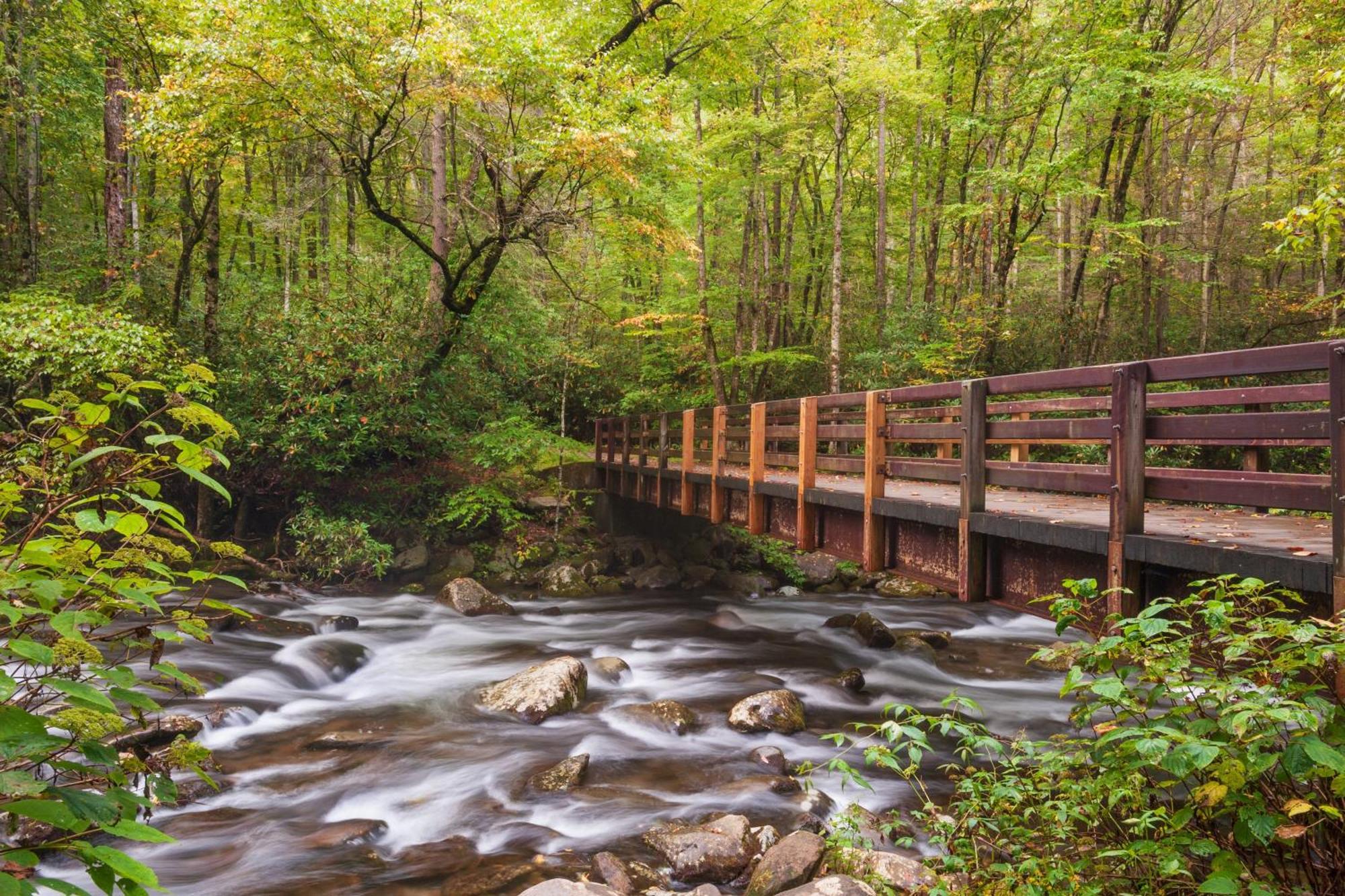 Hidden Creek, Pool Table, Hot Tub, 1089 Free Tickets Each Paid Day, Dollywood And Gatlinburg